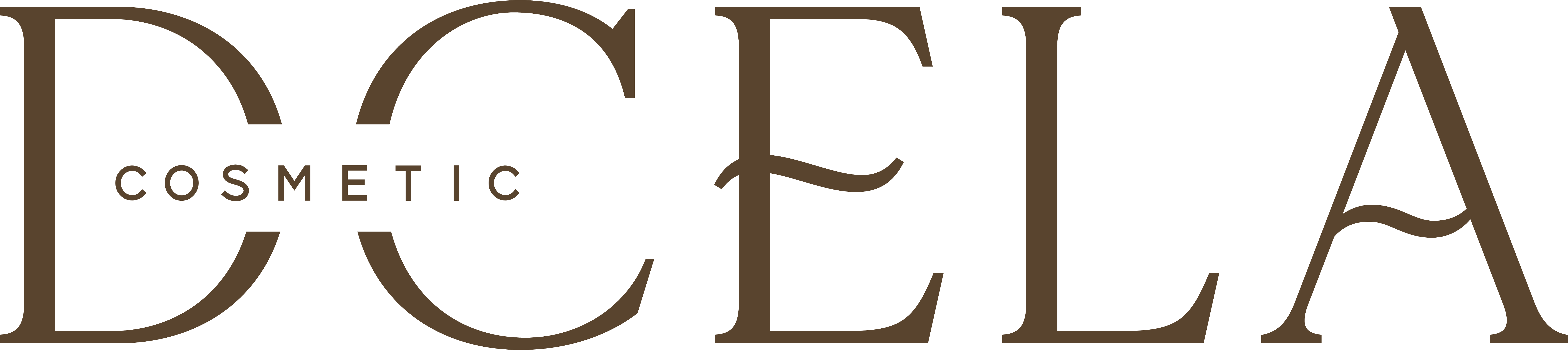 CÂU CHUYỆN THÀNH CÔNG CỦA DCELA STORE